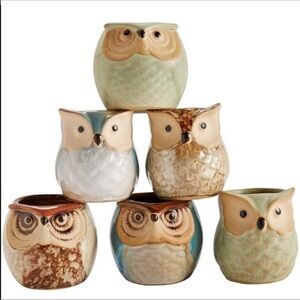 Boho western flower Ceramic Succulent Pots Set